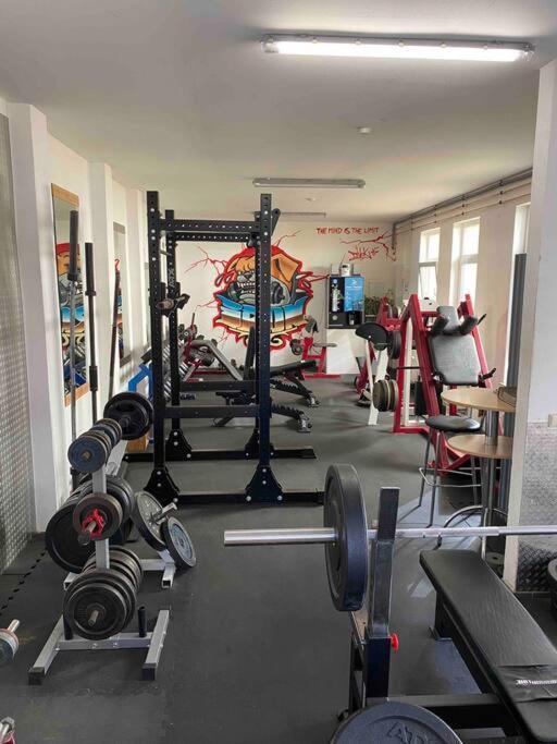 Ferienwohnung Mit Fitnessstudio Top1 Plauen Exterior foto